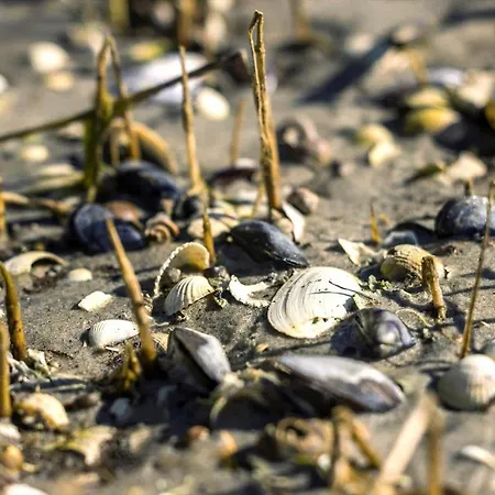 8991-orsted-spovevej-58